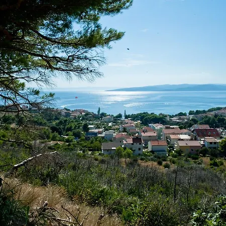 Lejlighed Viola Superior Promajna