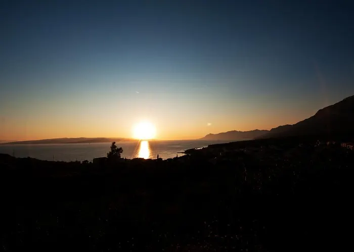 Viola Superior * פרומאינה